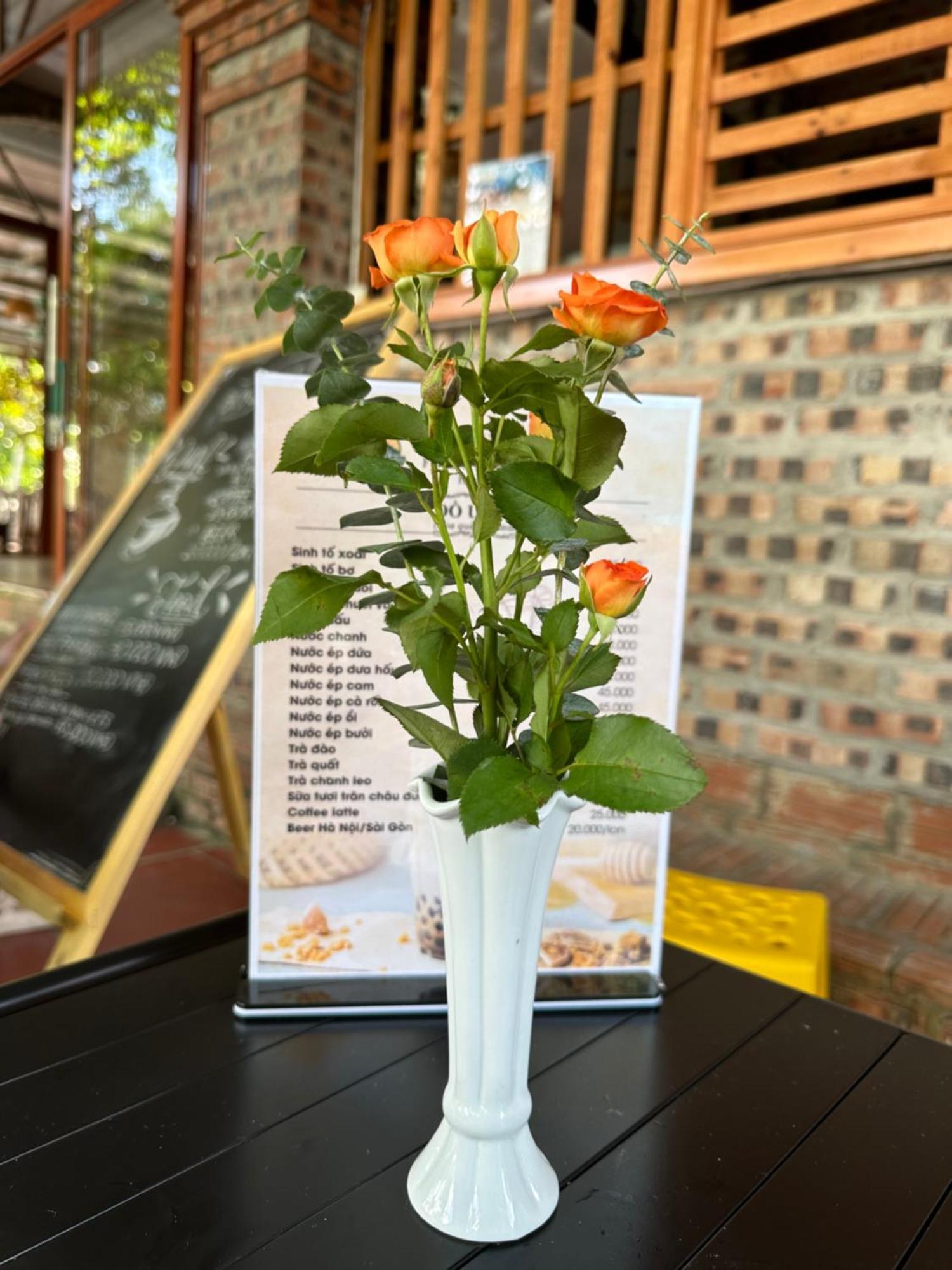 Ninh Binh Friendly Homestay Exterior photo